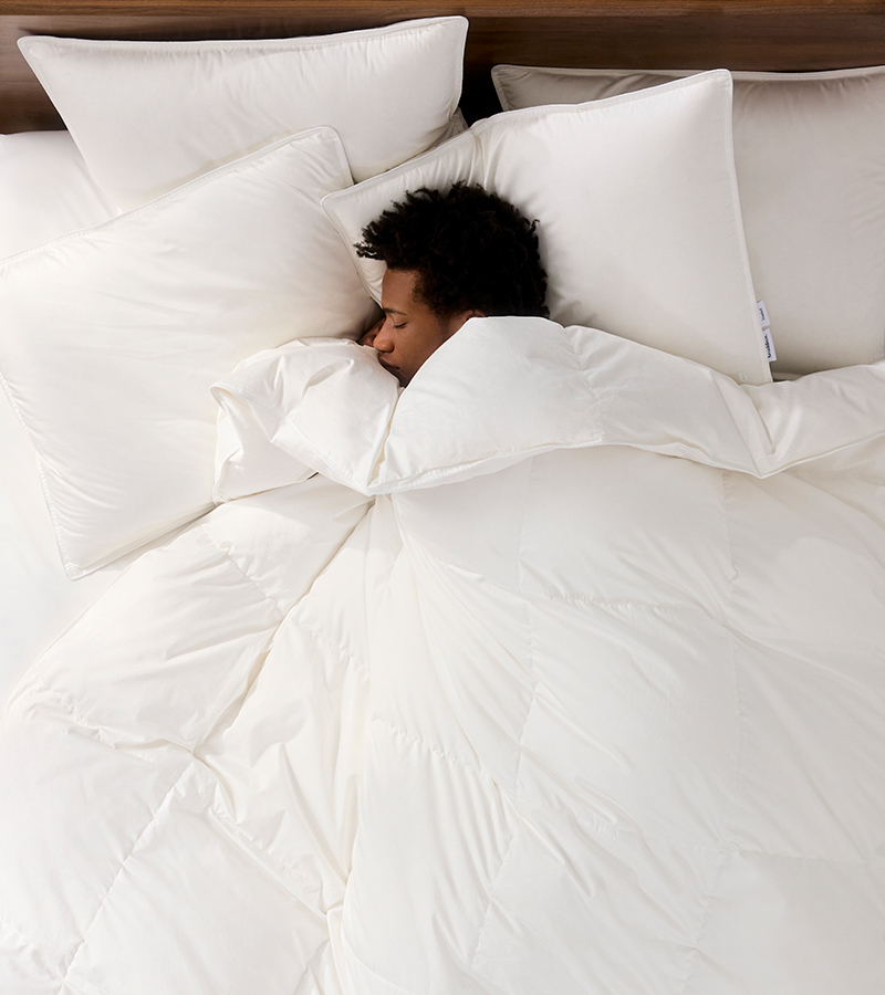 Comforters & Pillows