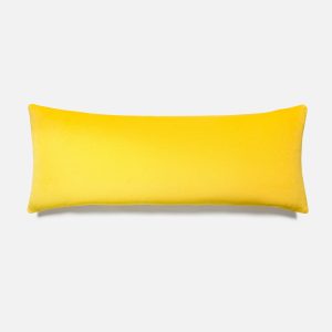 Cotton Velvet Lumbar Pillow Cover – Last Call