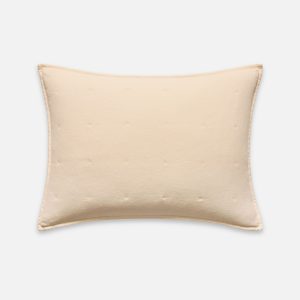Washed Velvet Sham Set